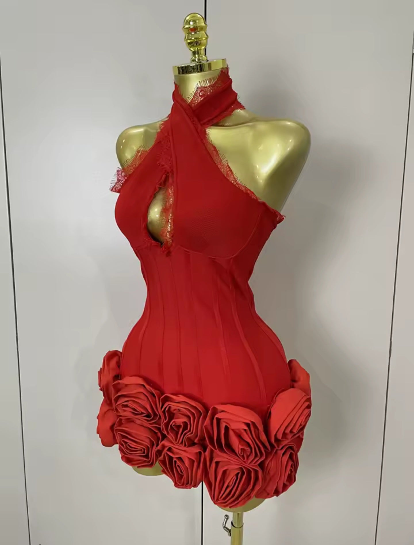 Rose Inferno Mini Dress