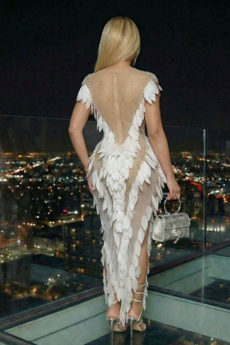 Spotlight Ready Dress(Just Restocked)