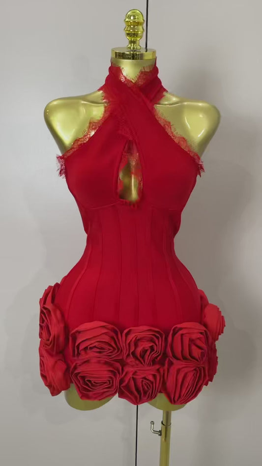 Rose Inferno Mini Dress
